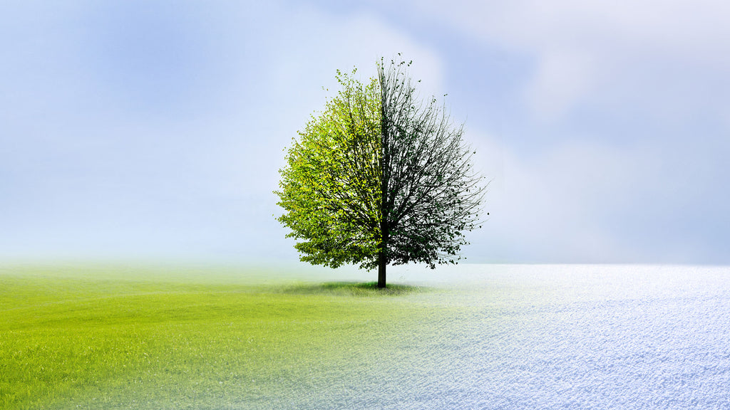 Recognising Changes in a Residents Condition — Altura Learning
